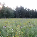 Waldblick