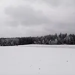 Waldblick