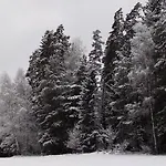 Waldblick Hohenberg an der Eger