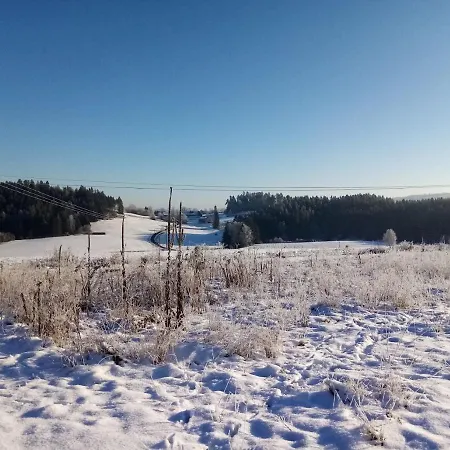Waldblick * Hohenberg an der Eger
