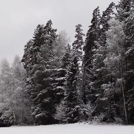 Waldblick Hohenberg an der Eger