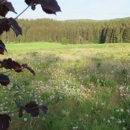 Waldblick Dom wakacyjny