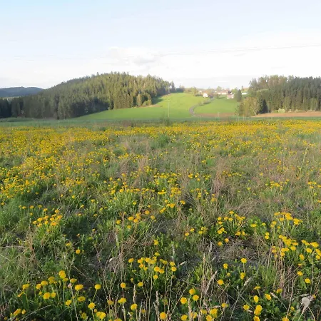Waldblick Dom wakacyjny Hohenberg an der Eger