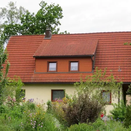 Waldblick