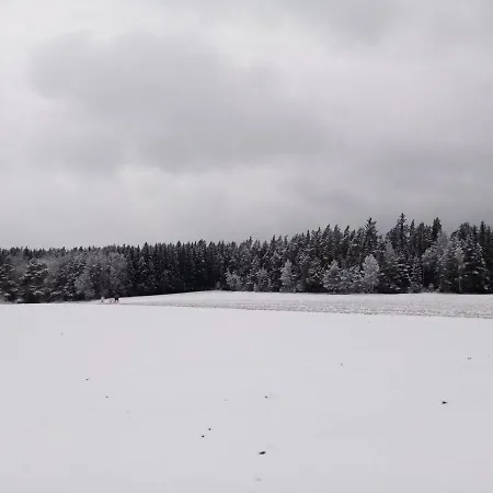 Waldblick