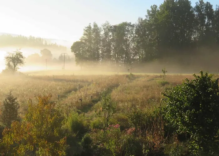 Waldblick Dom wakacyjny
