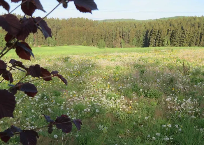 Waldblick Dom wakacyjny