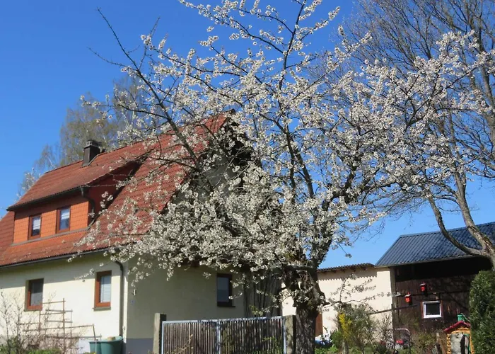 Waldblick Dom wakacyjny