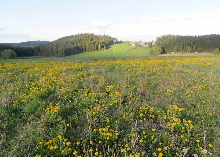 Waldblick Dom wakacyjny Hohenberg an der Eger