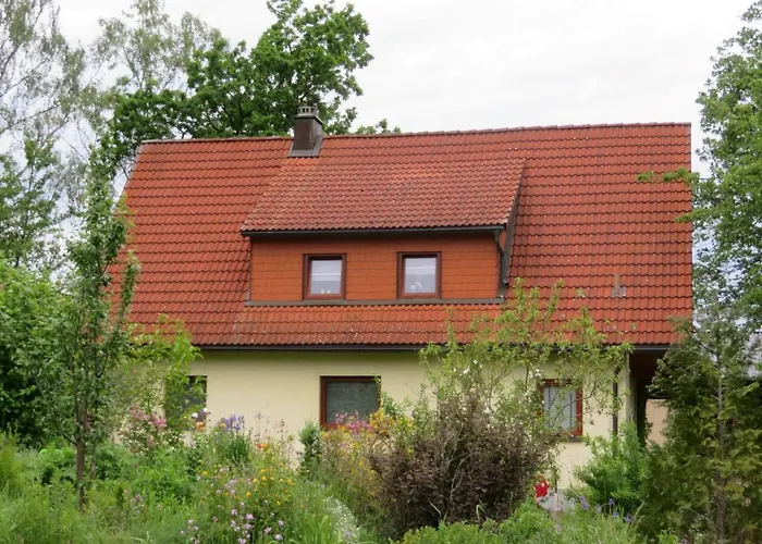 Waldblick
