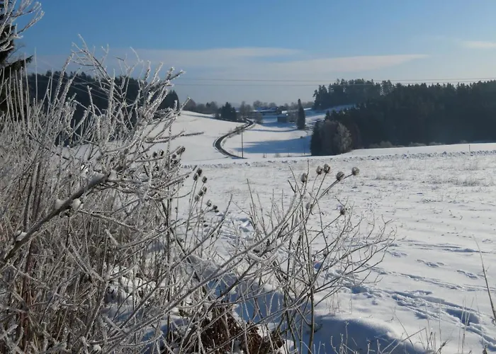 Waldblick Dom wakacyjny