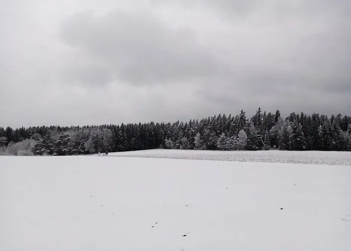 Waldblick